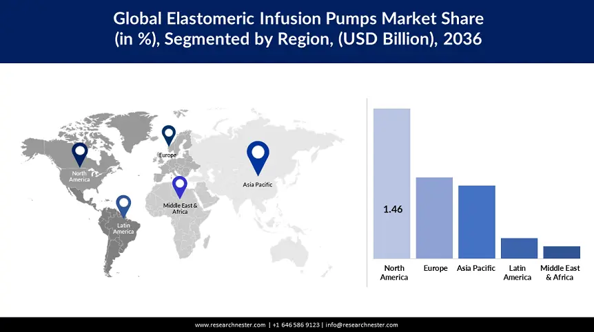 Elastomeric Infusion Pump Market Share